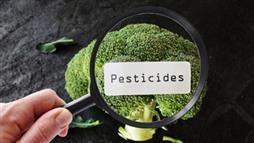 pesticides in food